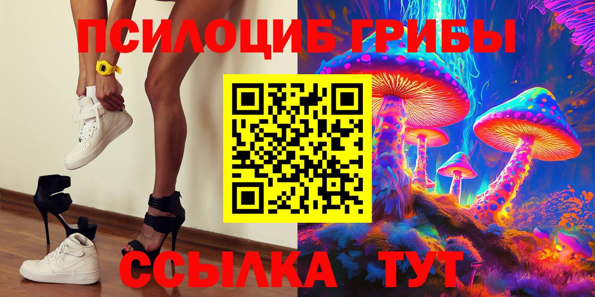 Галлюциногенные грибы Psilocybe  купить наркотики цена  Елабуга  Вход с VPN 